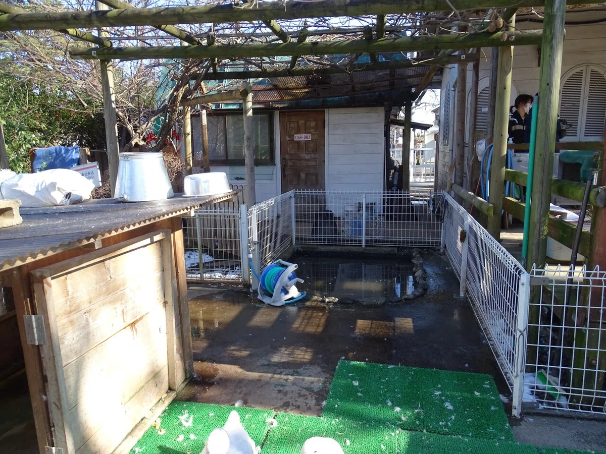 画像64