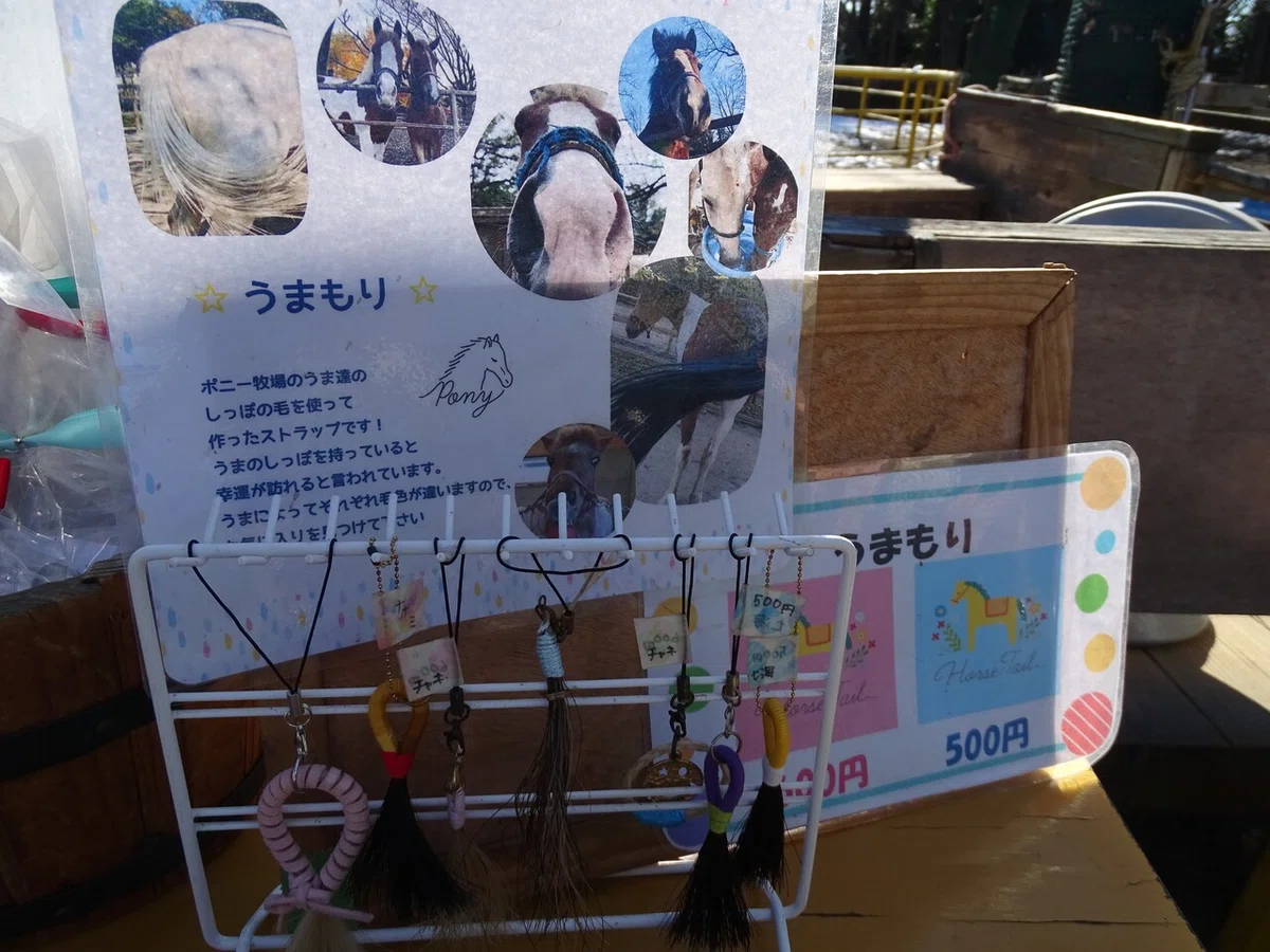 画像62