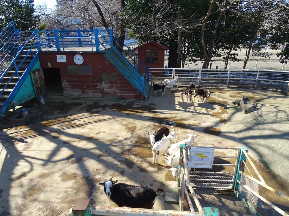 画像74