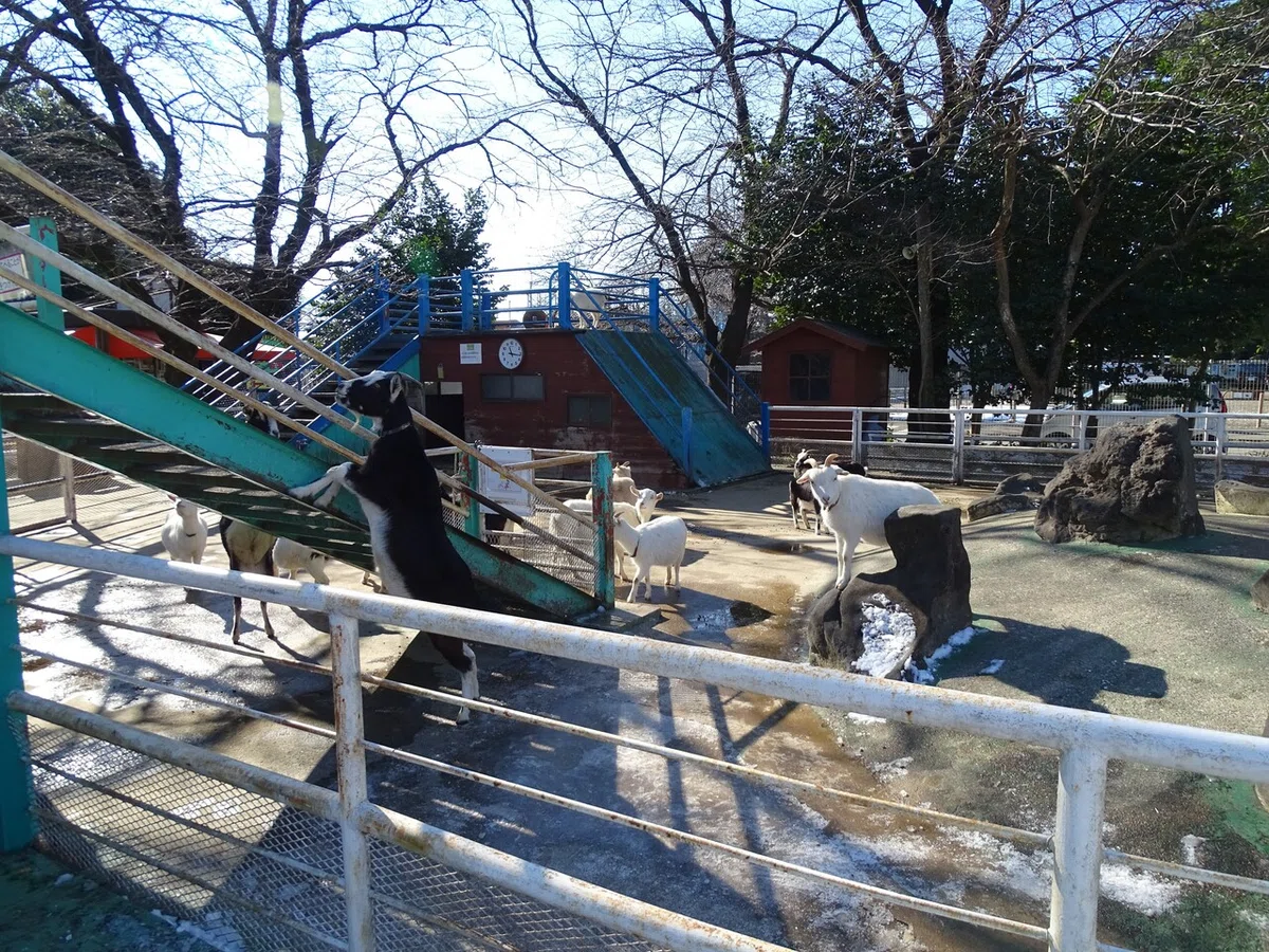 画像70