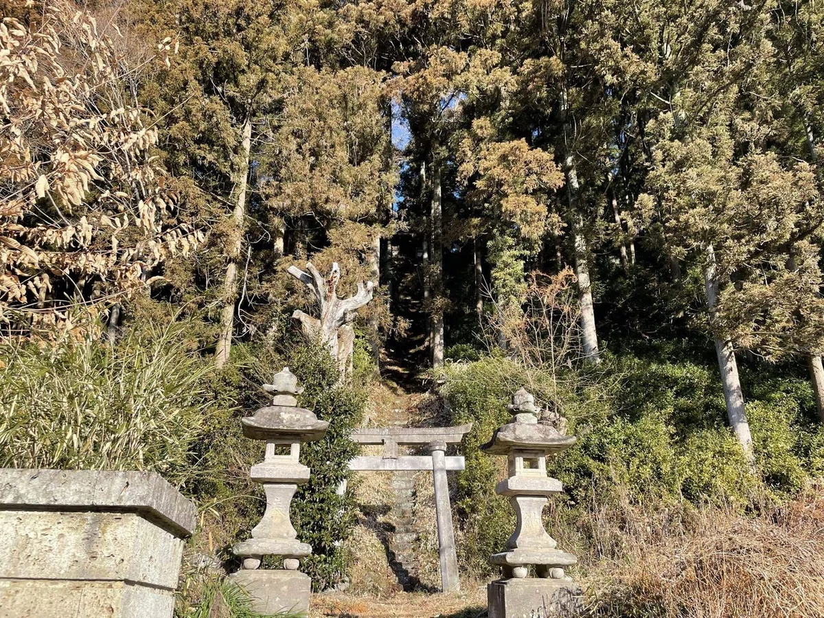 画像27