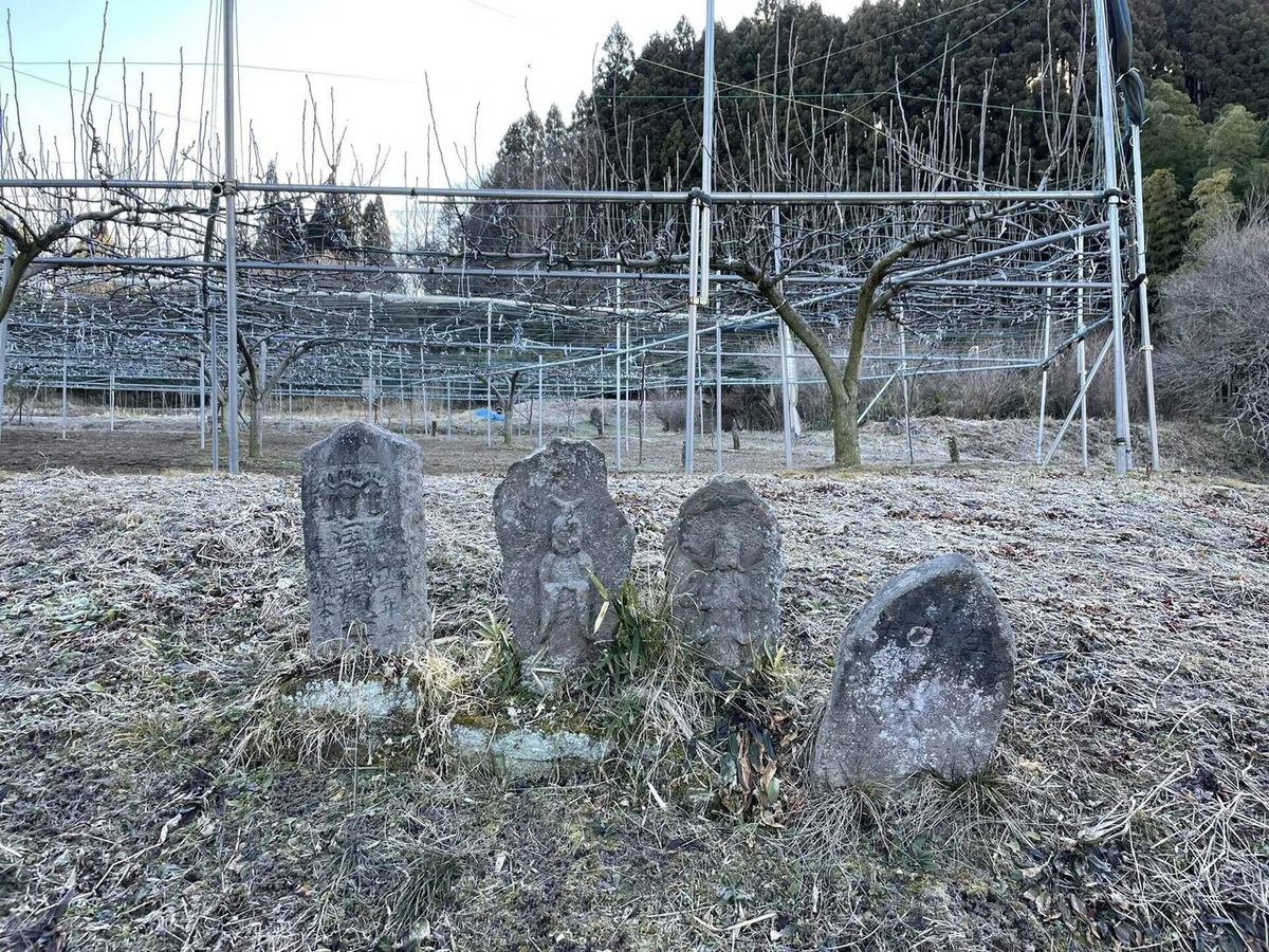 画像41
