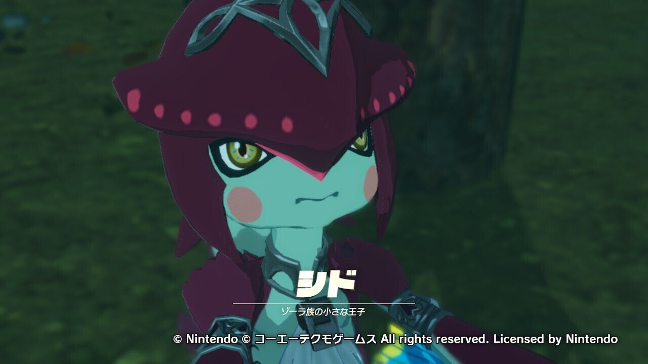 第6回 スクショで振り返ろう ゼルダ無双 厄災の目次録 うた Note