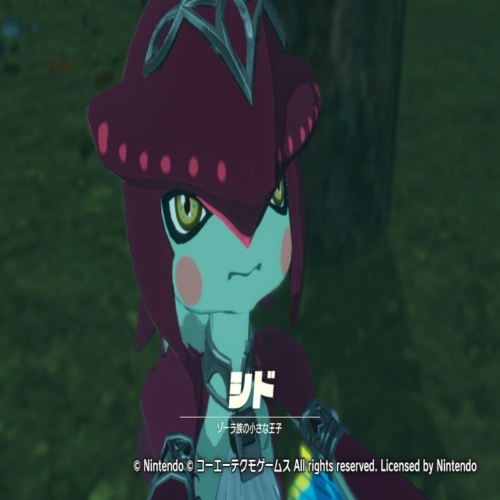 第6回 スクショで振り返ろう ゼルダ無双 厄災の目次録 うた Note