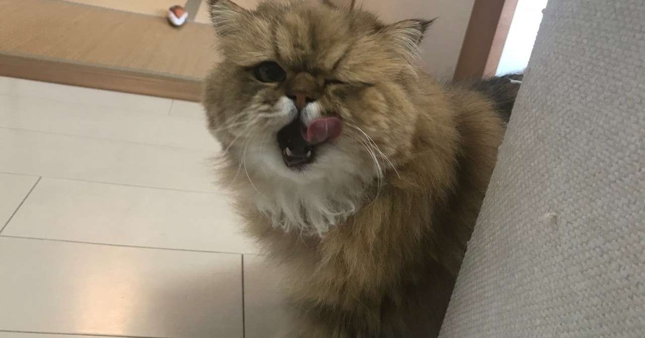 日本版カートゥーンアニメ雑記 牧野なおき Note