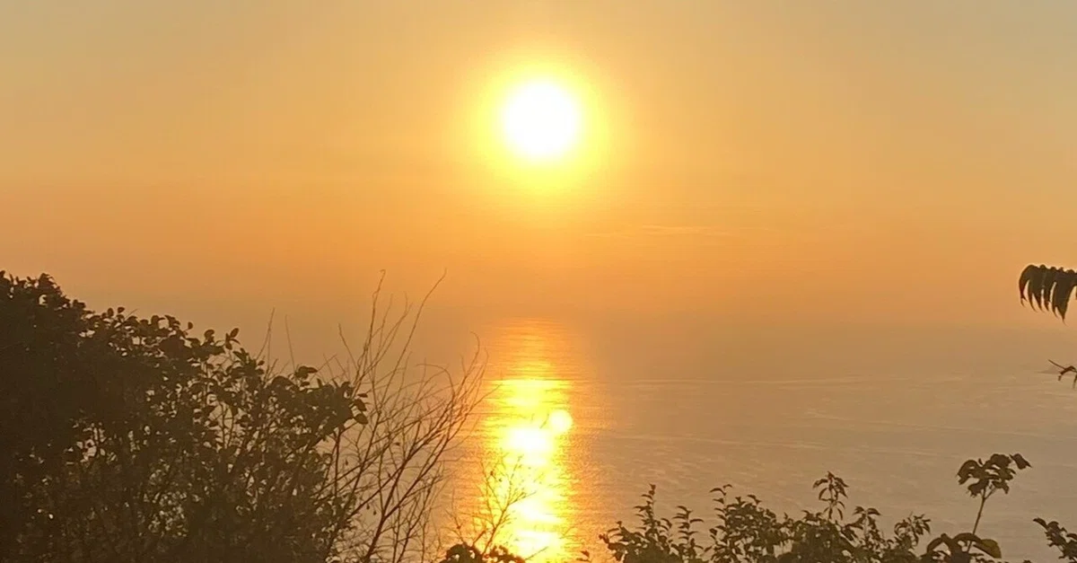 画像46