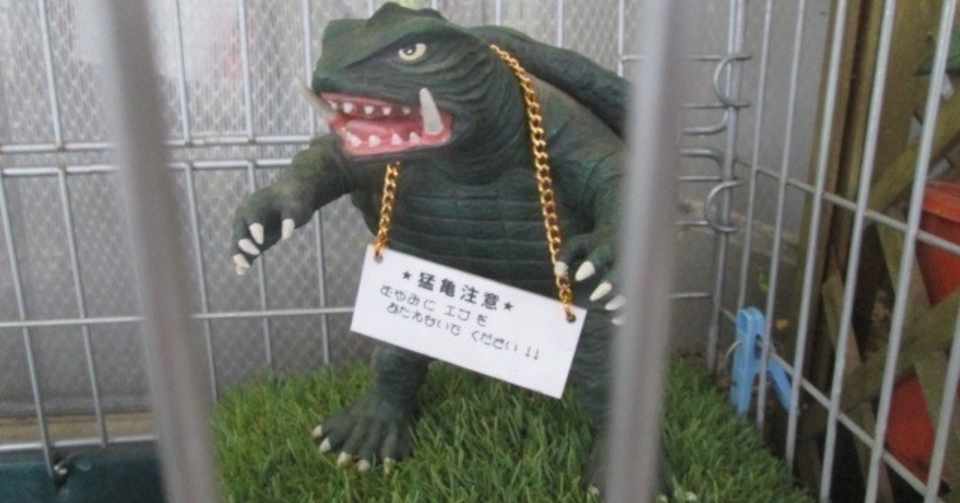 くらげの毒抜き日記 Vol 4 年下に苦言をいわれることのありがたさ というお話 くらげ Note