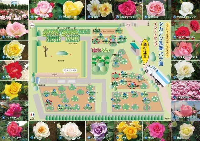 タカナシ乳業 の新着タグ記事一覧 Note つくる つながる とどける