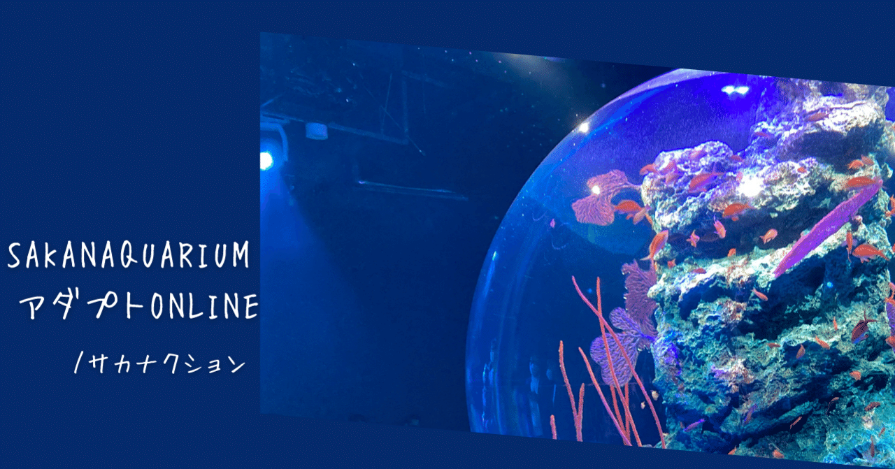 【2点】サカナクション SAKANAQUARIUM 光 ＆ アダプト サカナクション｜ライブBlu-ray&DVD『SAKANAQUARIUM アダプト