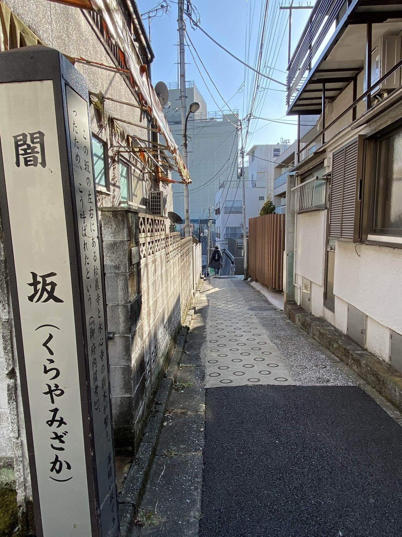 36 東京四谷・坂道散歩｜ミヤコカエデ（Miyako Kaede)