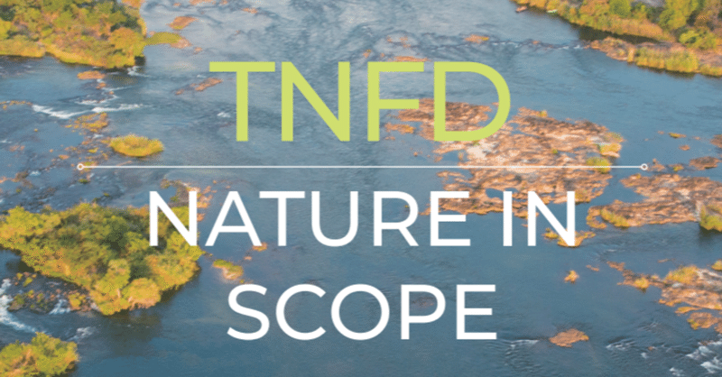 TNFD:自然関連自然関連財務情報開示タスクフォースのレポート「NATURE IN SCOPE」を読んでみた。