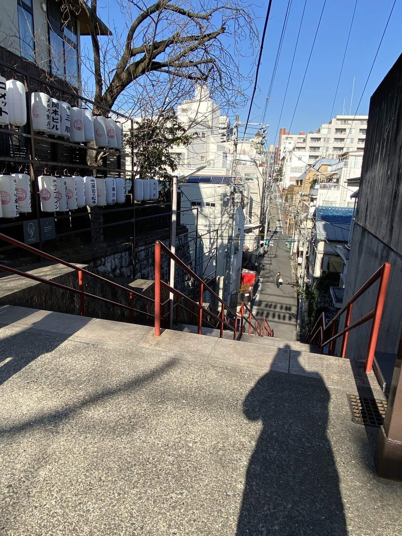 36 東京四谷・坂道散歩｜ミヤコカエデ（Miyako Kaede)