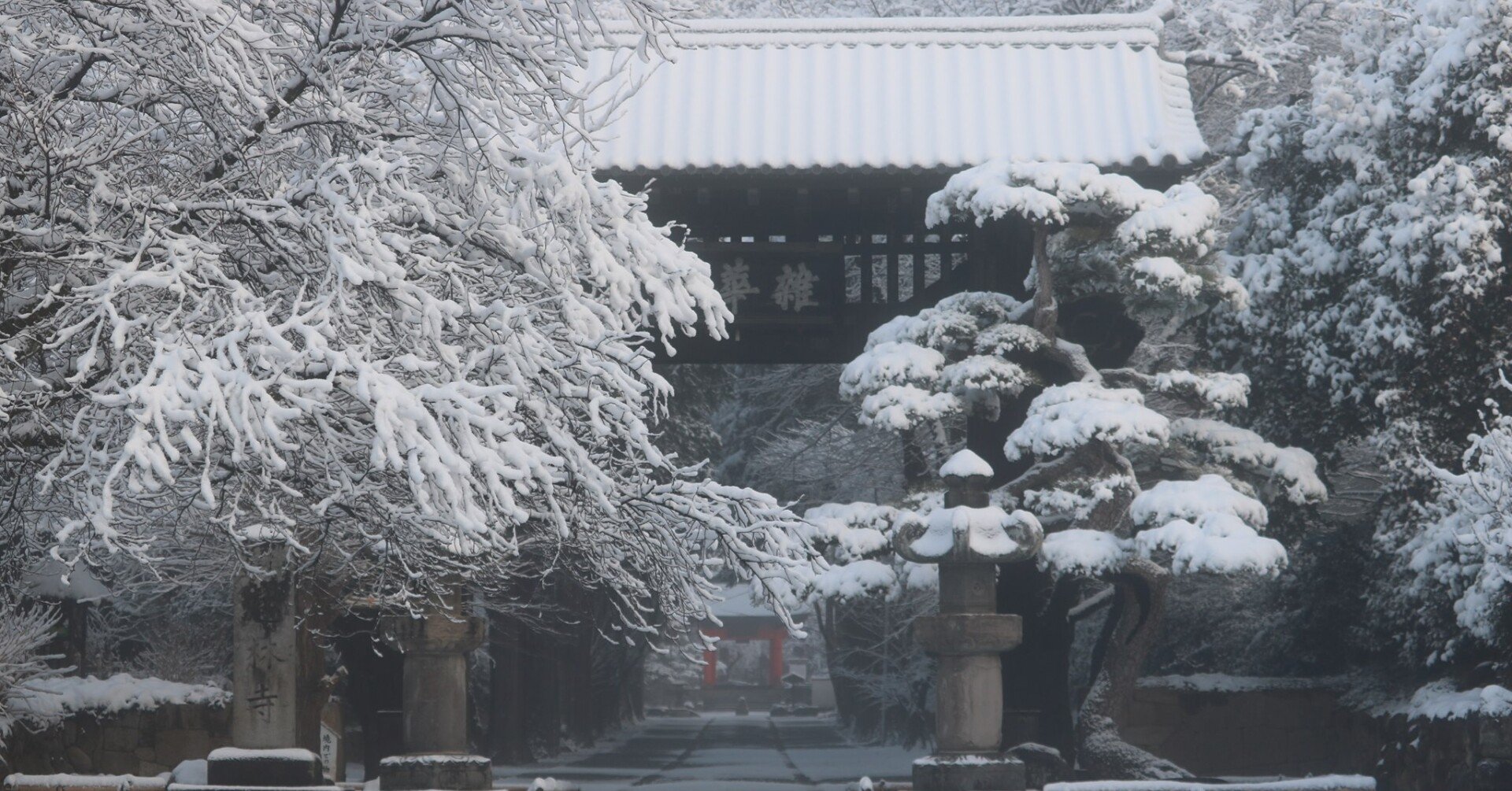 禅語を味わう．．．016：雪月花｜古川 周賢