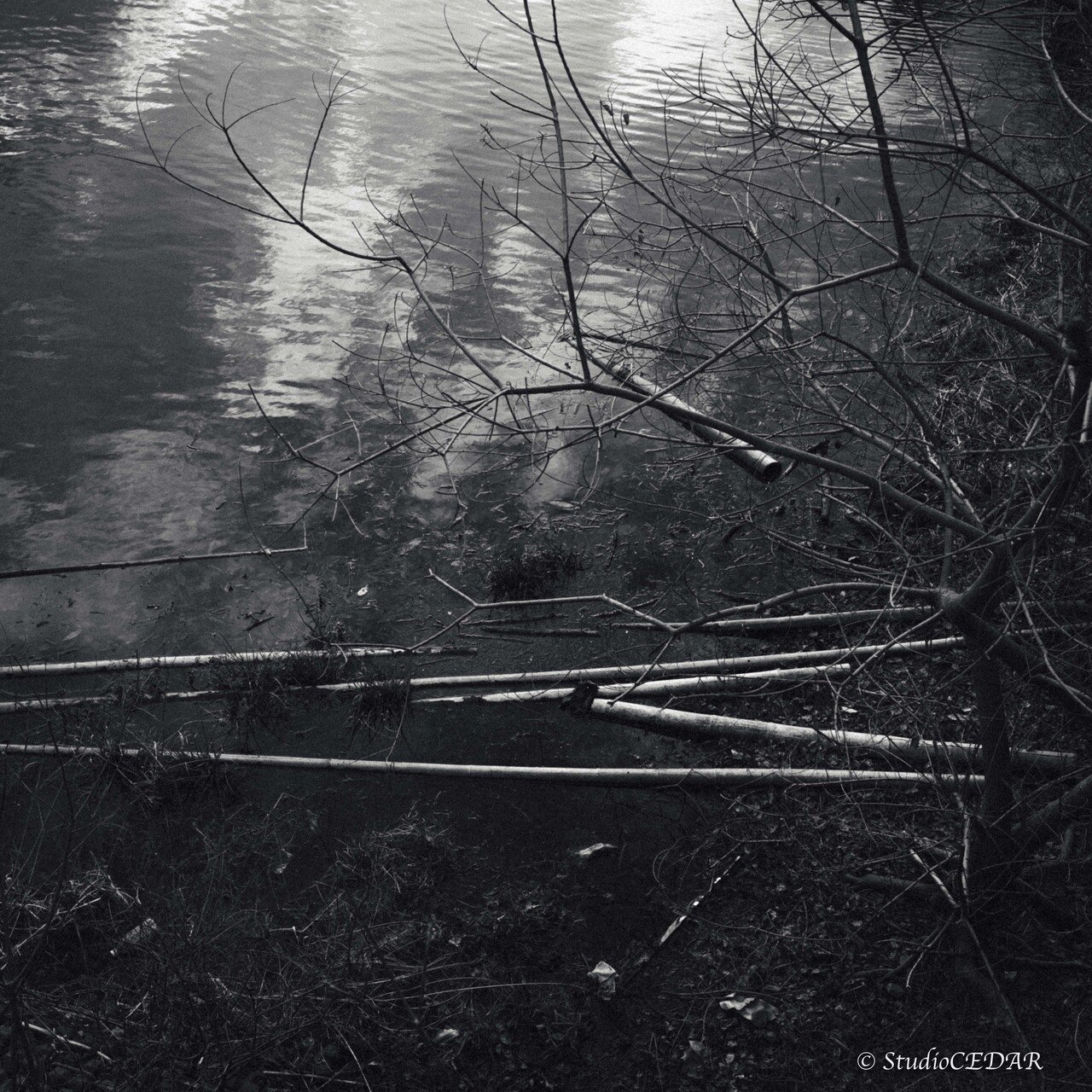 モノクロームへの憧れ｜すぎっち