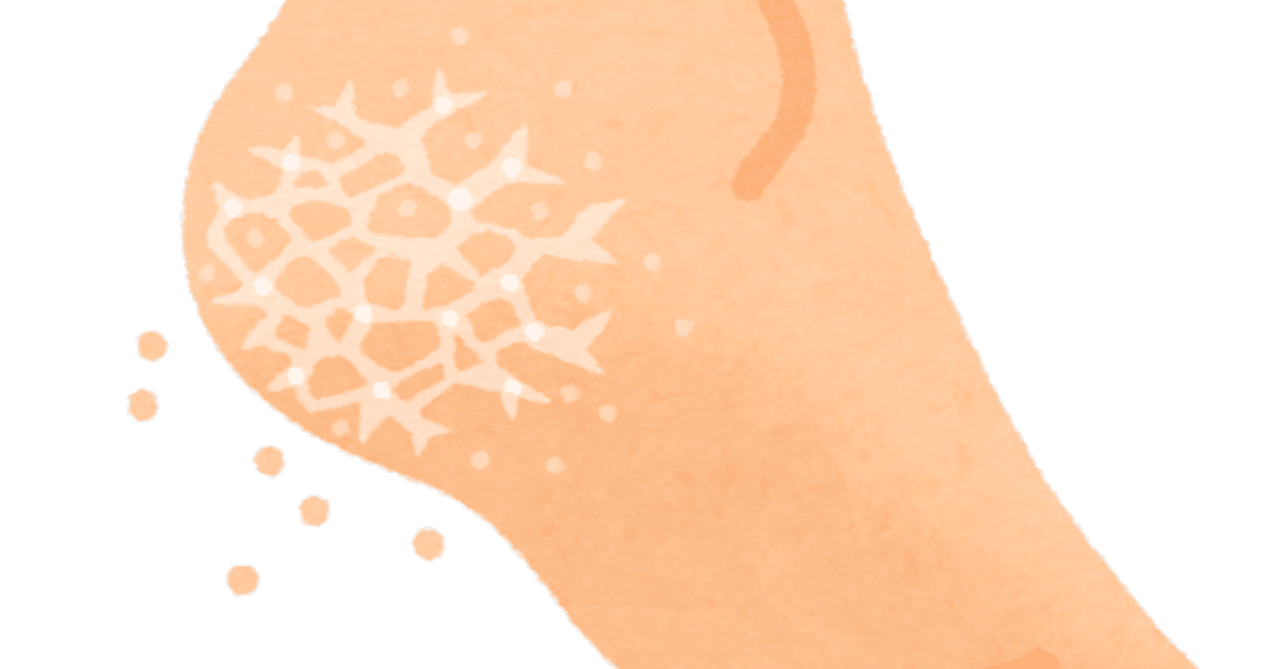 【買ってよかったもの】 足裏削りグッズ|*AIRVARIE|noteのアイキャッチ画像