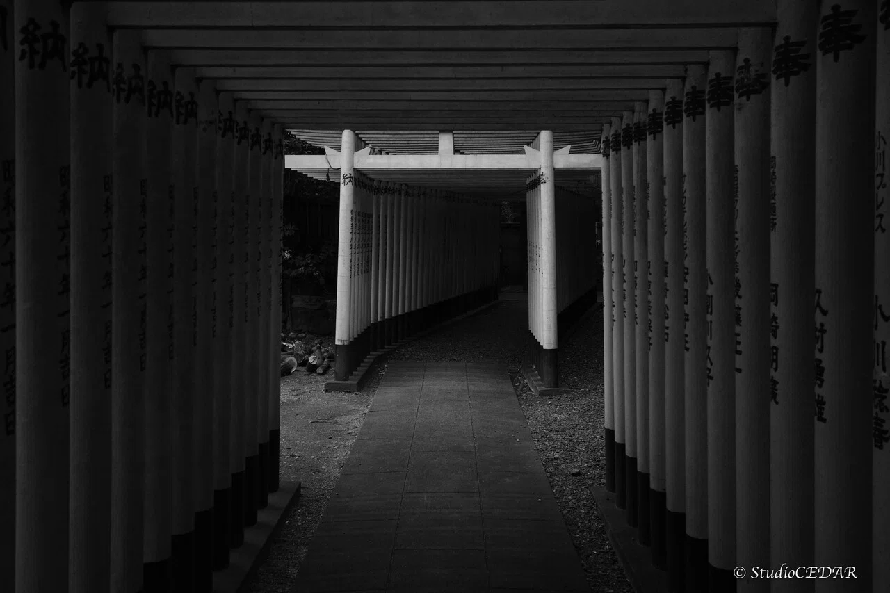 モノクロームへの憧れ｜すぎっち