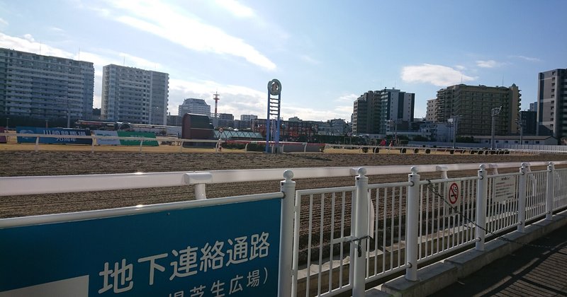 川崎競馬(1/31)勝負レース(7.9.10.11R)