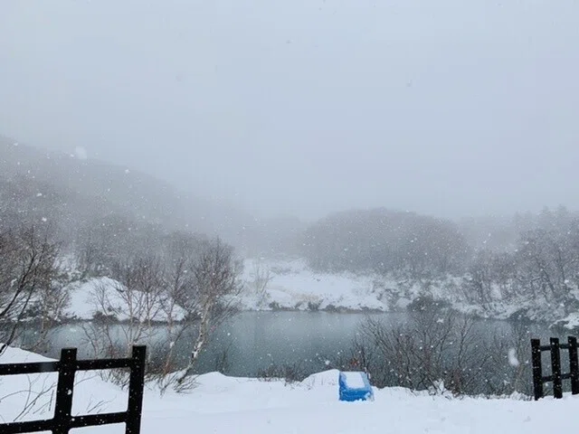 画像17