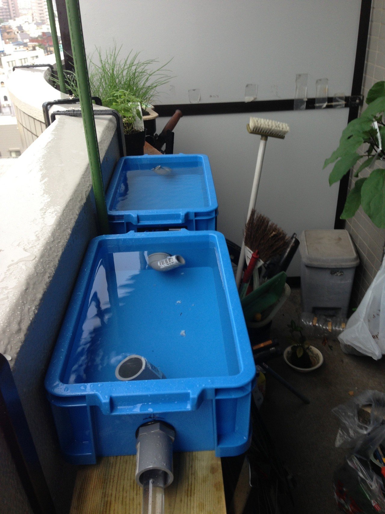 家庭菜園道具14 08 16 ベランダ手すりに循環式水耕栽培装置を追加 東向きのベランダなので 少しでも日光を活用 マンション は人が通れるスペースを確保しなくちゃいけないので面倒 ｰｰ Dss Note