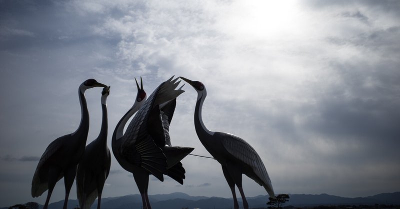 鹿児島旅のアルバム(2022年1月)-3 
出水に鶴を見に行った