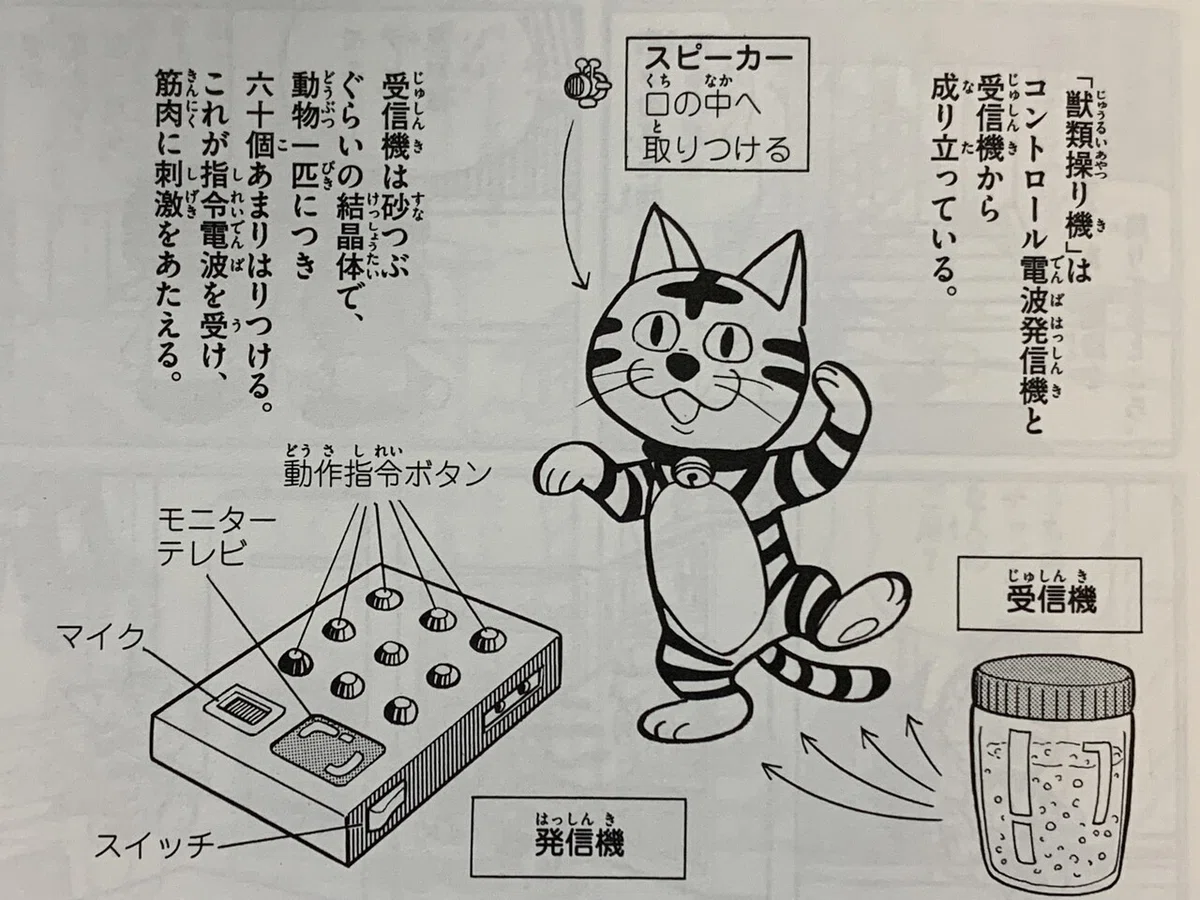 画像3