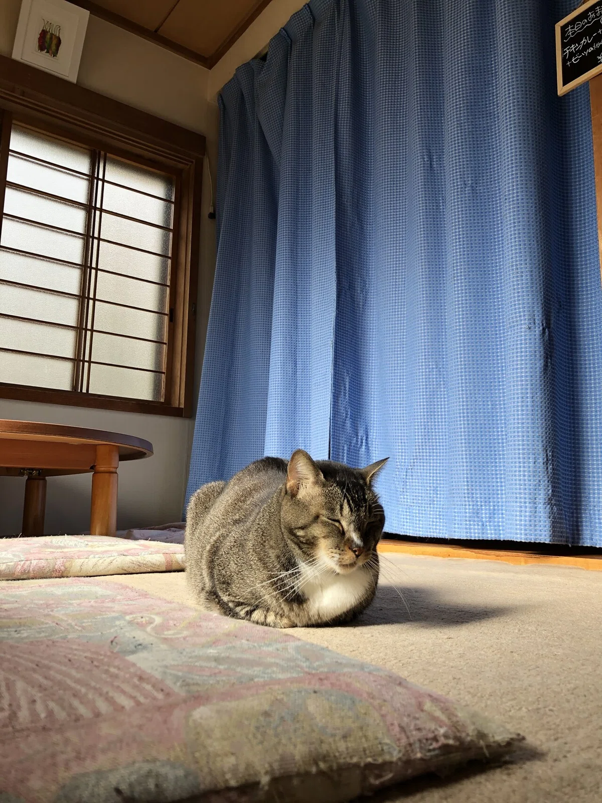 画像4