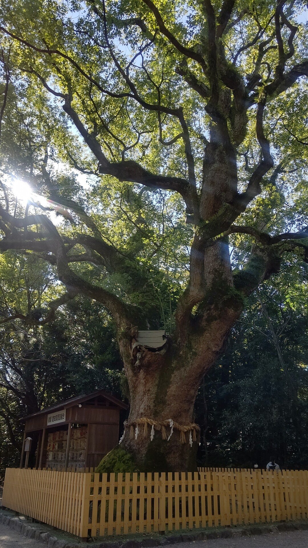 持ち家は勢い の新着タグ記事一覧 Note つくる つながる とどける