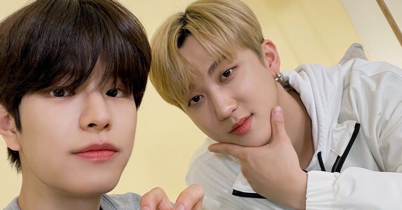 straykids スンミン チャンビン ナシフィック アクスタ クルモンズ straykids スンミン チャンビン ナシフィック アクスタ クルモンズ