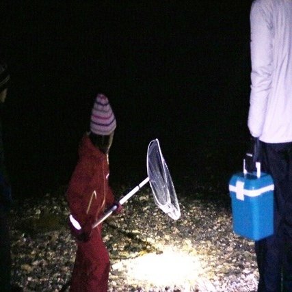 100匹獲れる琵琶湖 ワカサギすくいマニュアル Kend けんでぃ Note