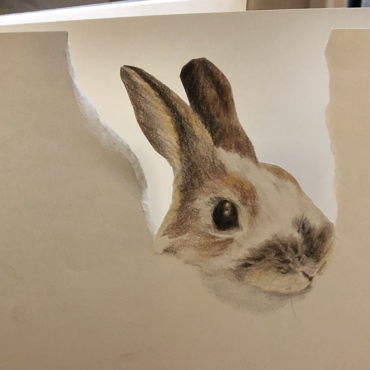 スケッチブックを齧るうさぎ Angelrabbits Note スケッチブックを齧るうさぎ Angelrabbits Note