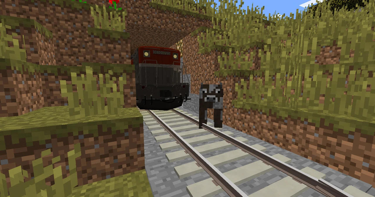 How to install the train mod 