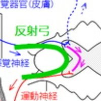 敬語の問題 簡単な解き方 Shun Ei Note