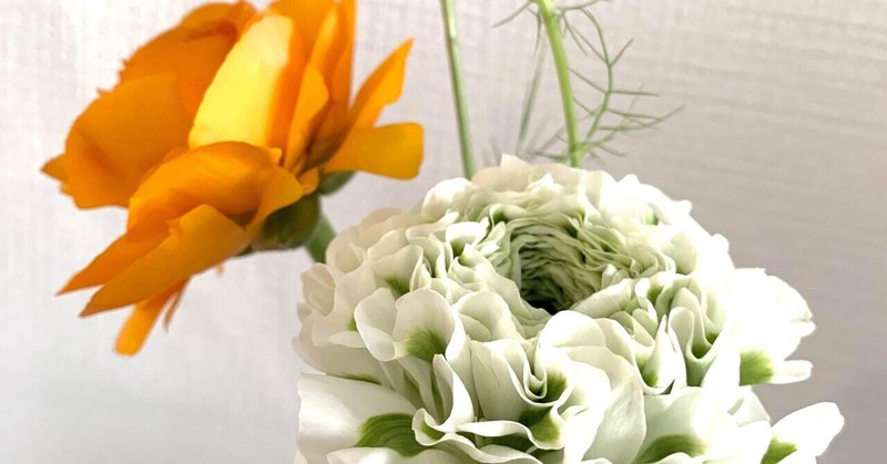 花日記 いろんな姿をもったお花 Nako Note