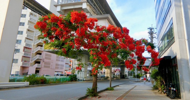 世界三大花木 の新着タグ記事一覧 Note つくる つながる とどける