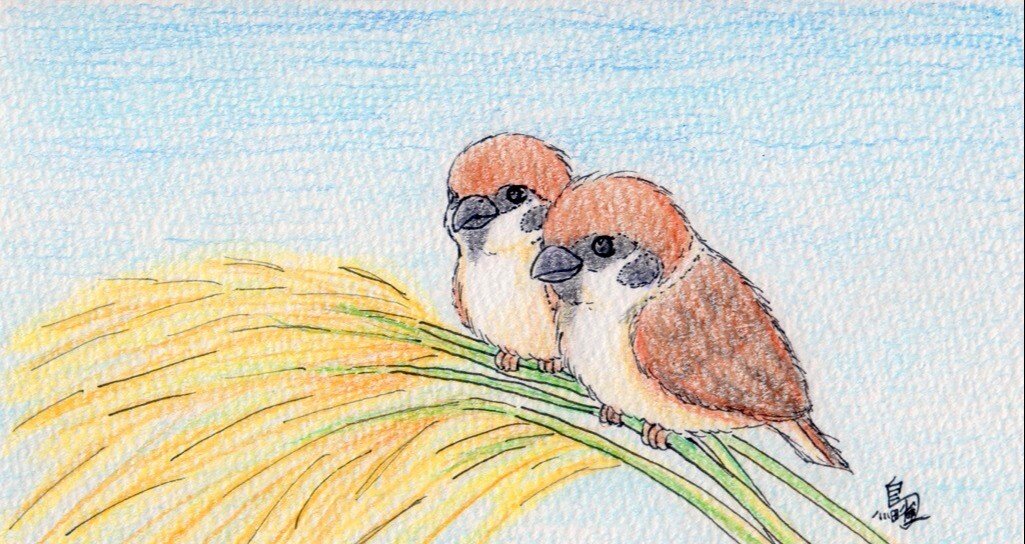 f26e69df98ae7d9f71113a18c6a356