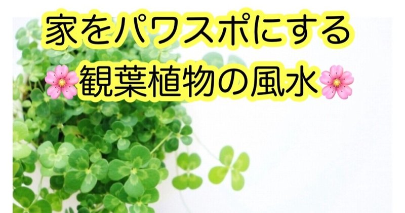 【開運】金運を引き寄せるトイレの観葉植物(^^)