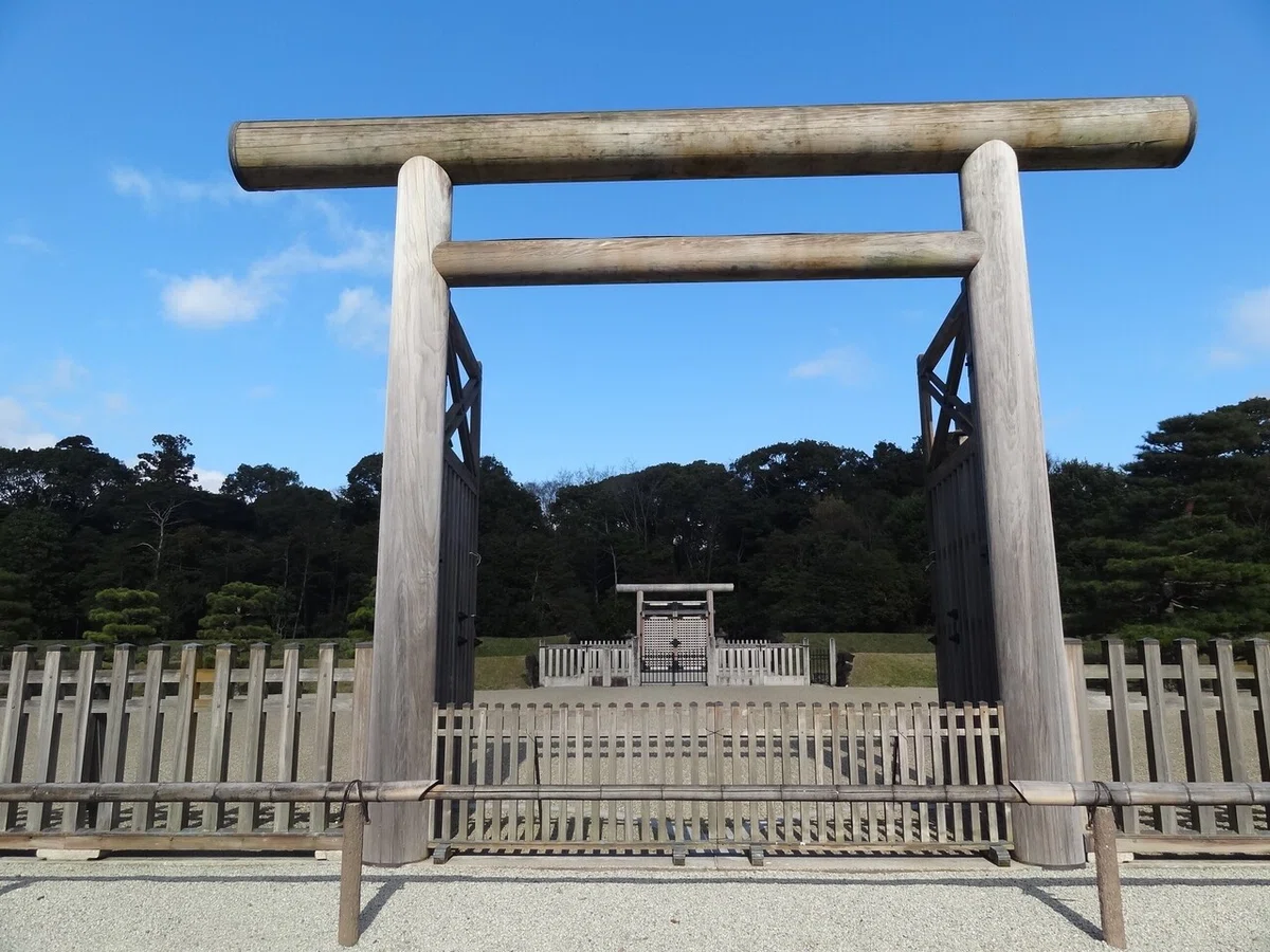 画像12