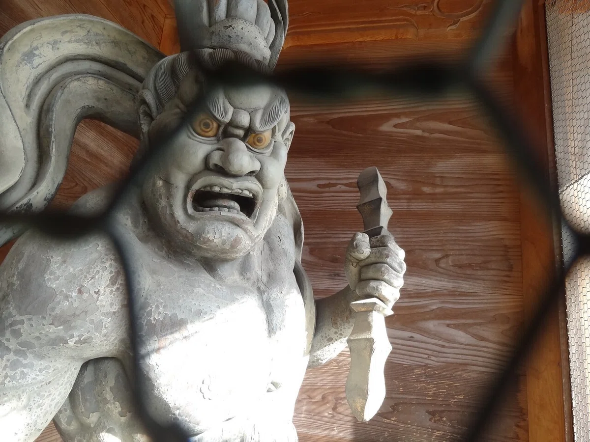 画像5