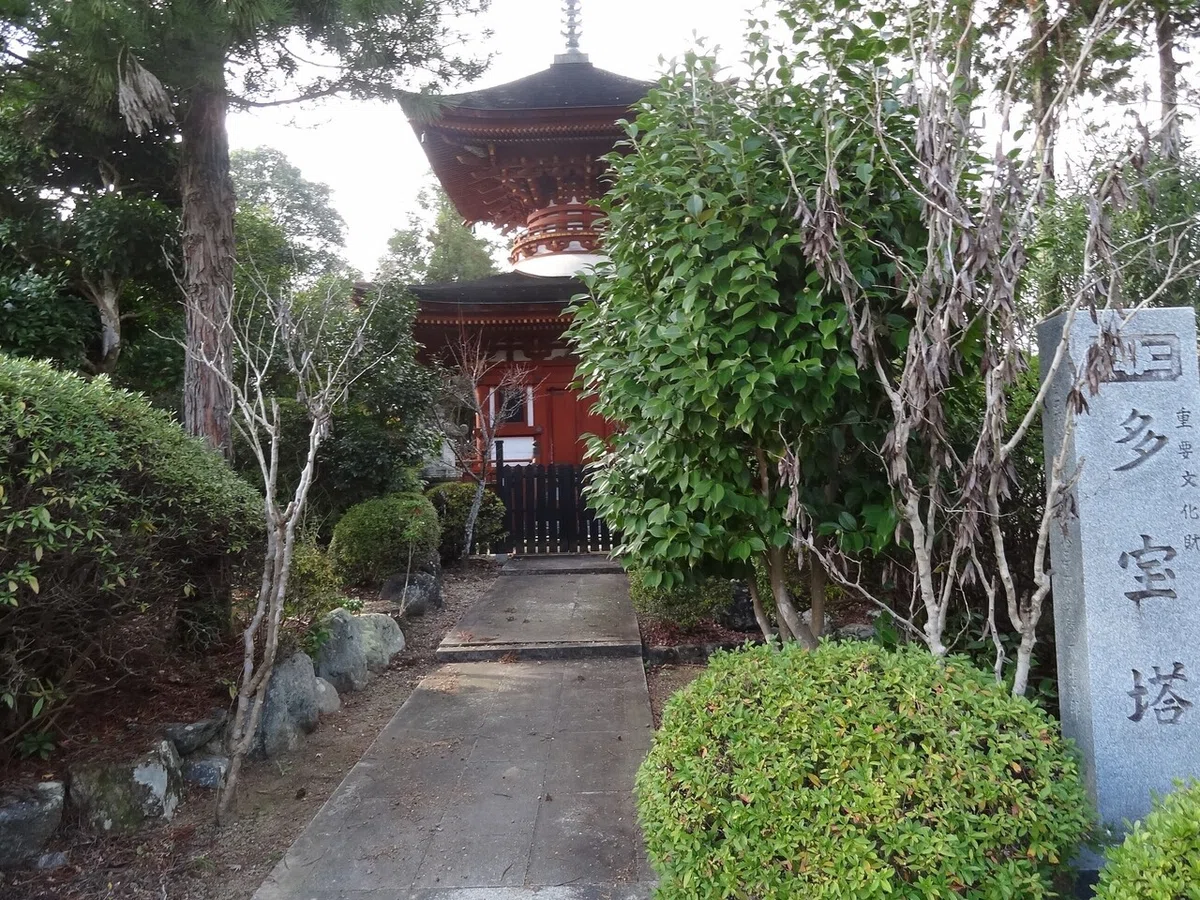 画像8