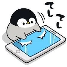 画像8