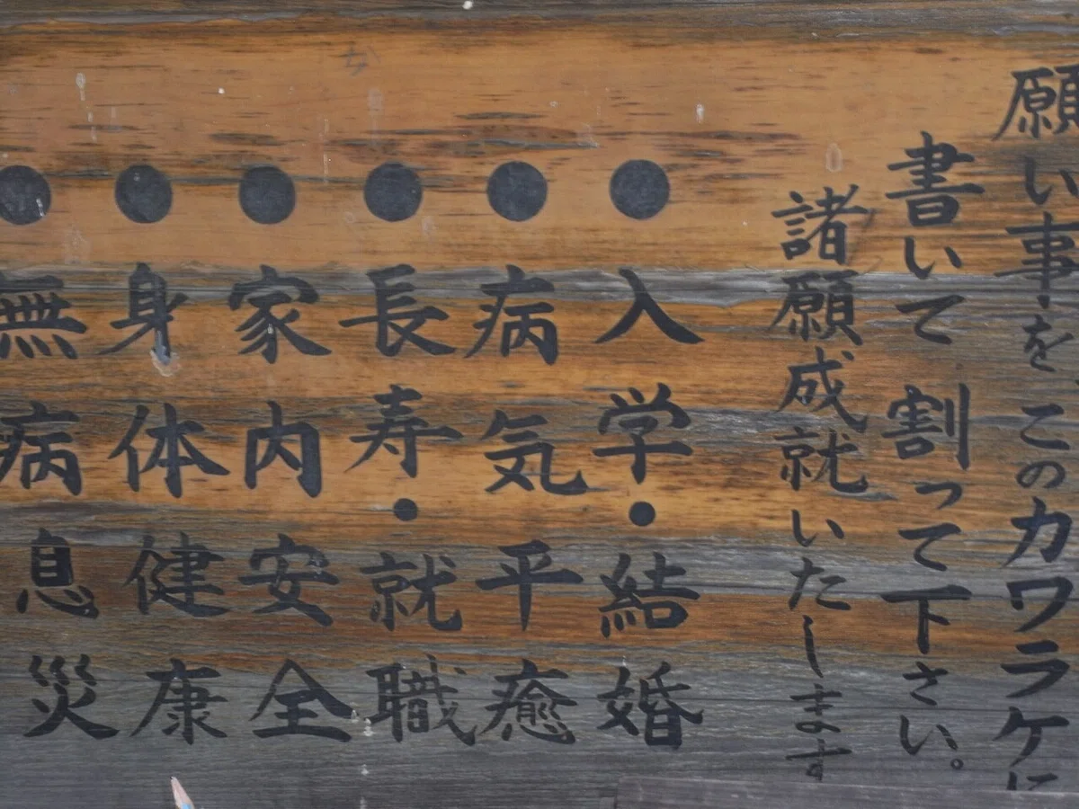 画像14