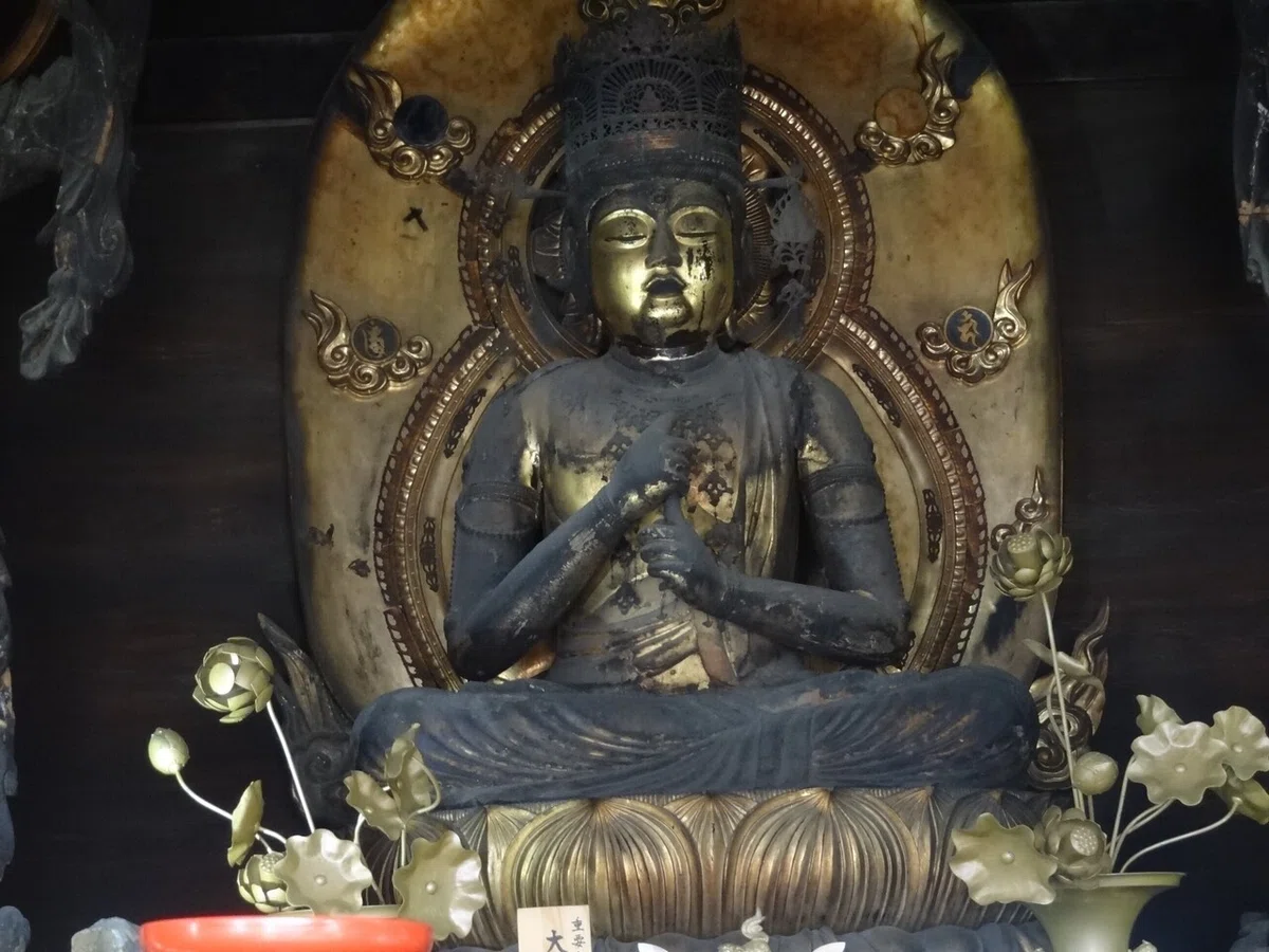 画像5