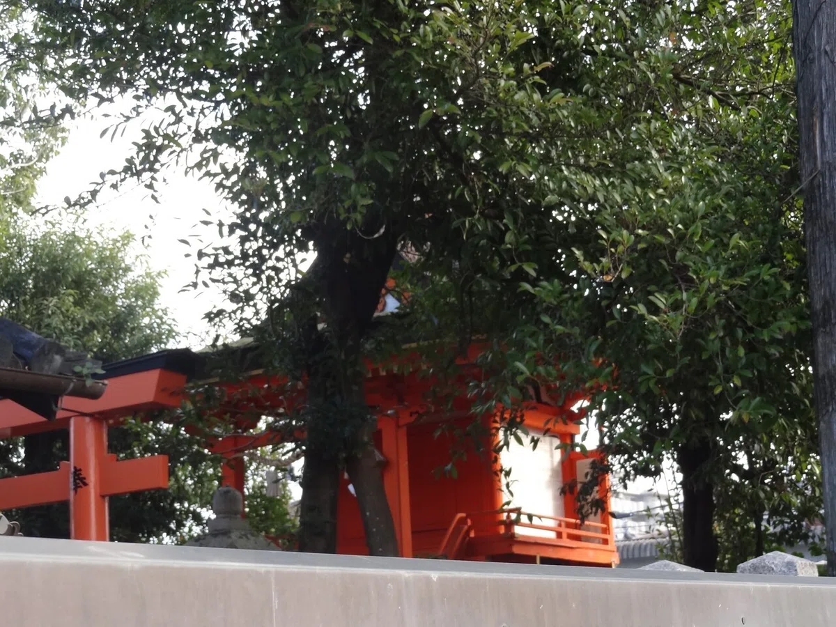 画像13