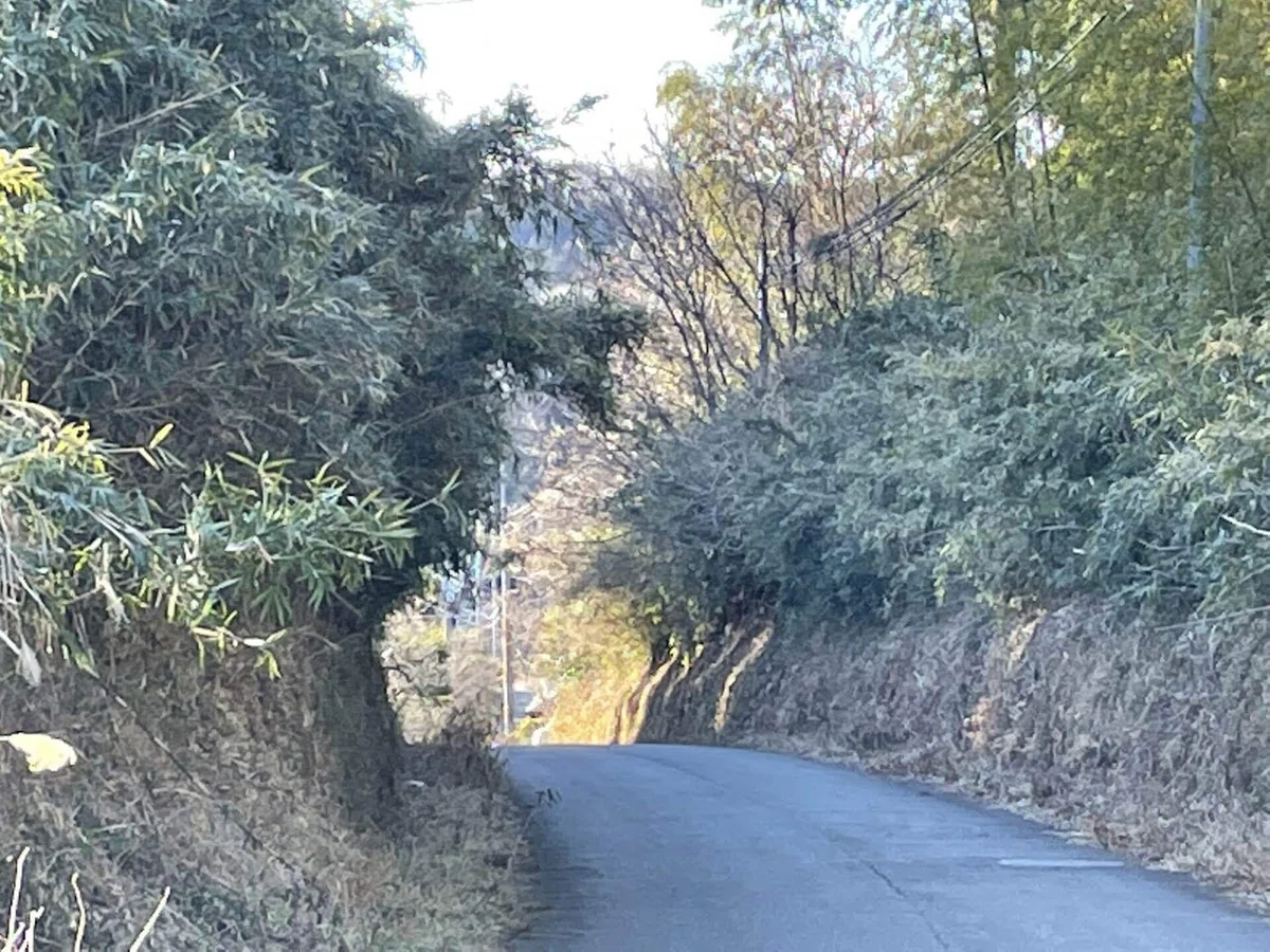 画像48