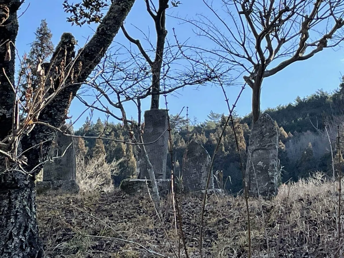 画像49