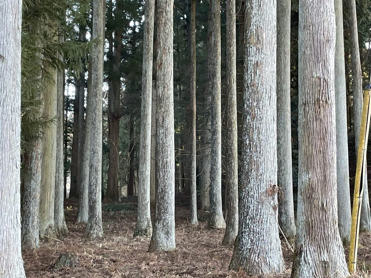 画像51
