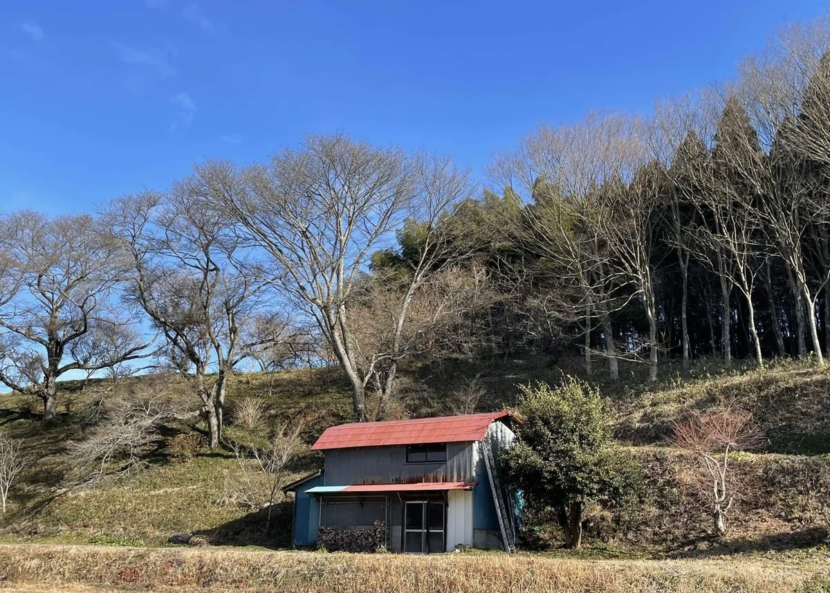 画像68