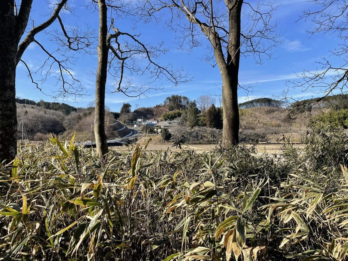 画像78