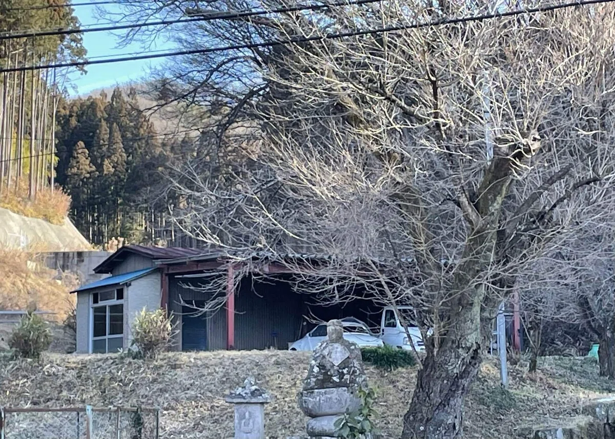 画像80