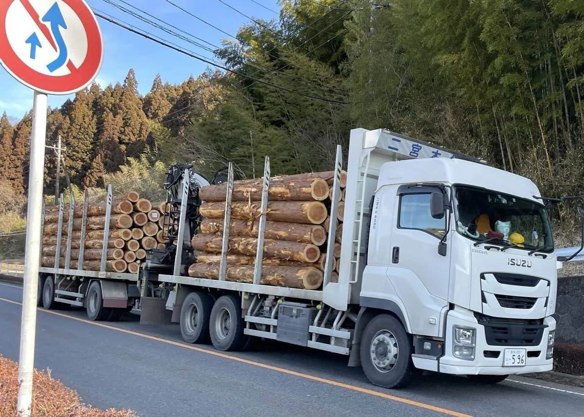 画像95